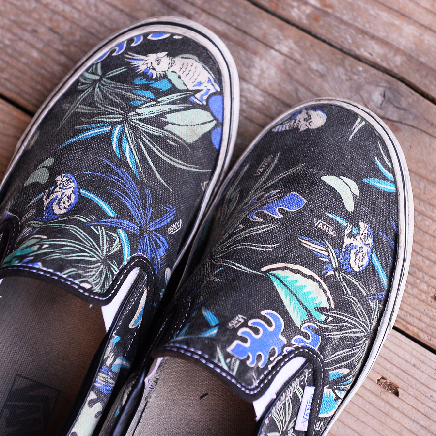 Diorama Clothing Store VANS