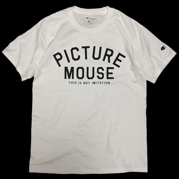 PICTURE MOUSE