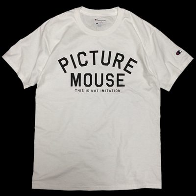 PICTURE MOUSE